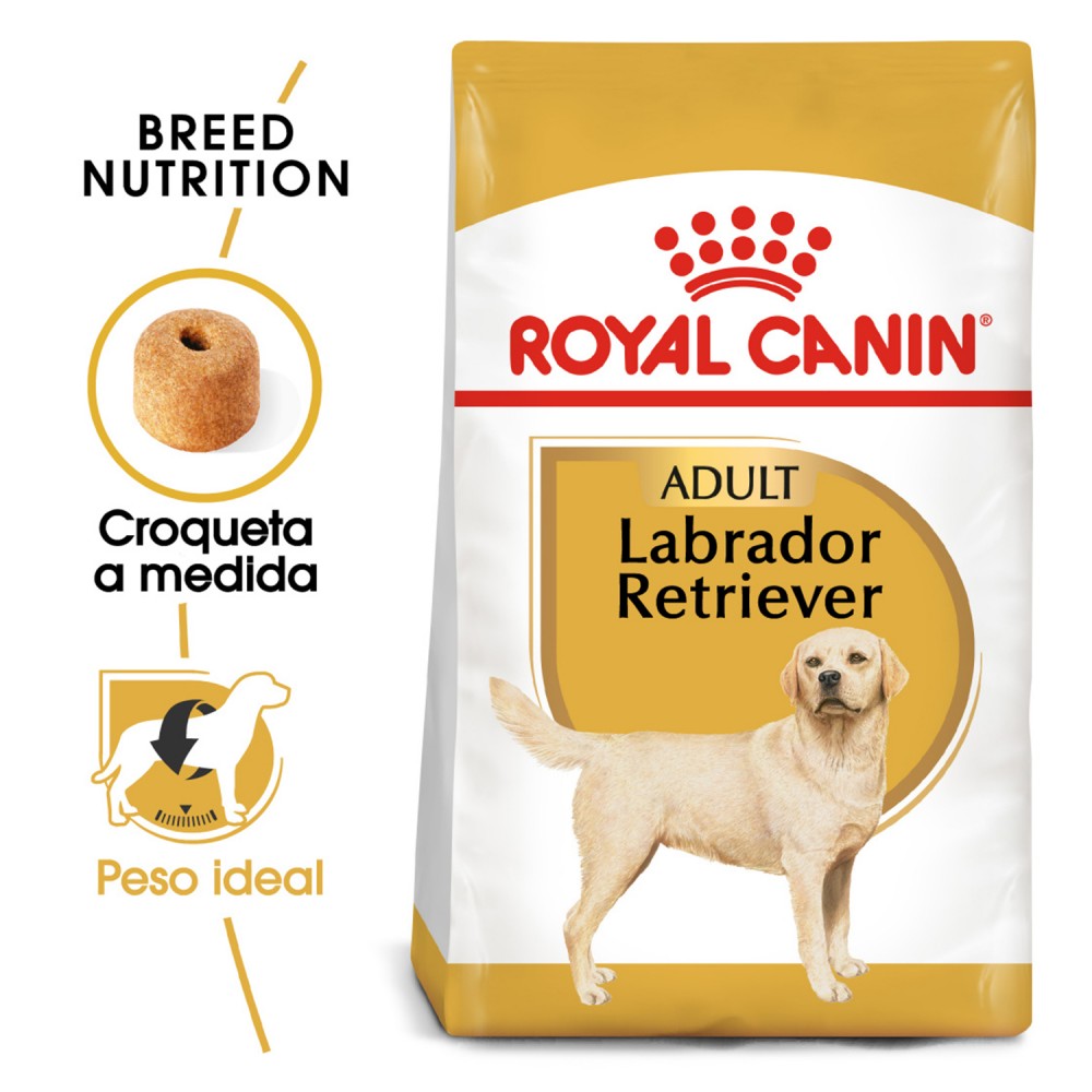 Royal Canin Labrador Retriever Adult