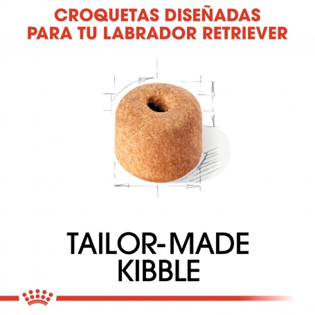 Royal Canin Labrador Retriever Adult