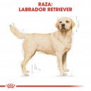Royal Canin Labrador Retriever Adult