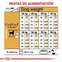 Royal Canin Labrador Retriever Adult