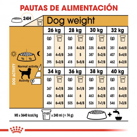 Royal Canin Labrador Retriever Adult