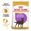 Royal Canin Labrador Retriever Sterilised