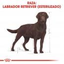 Royal Canin Labrador Retriever Sterilised