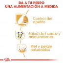 Royal Canin Labrador Retriever Sterilised