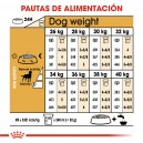 Royal Canin Labrador Retriever Sterilised