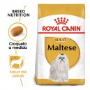 Royal Canin Maltese - Bichón Maltés