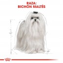 Royal Canin Maltese - Bichón Maltés