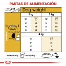 Royal Canin Maltese - Bichón Maltés