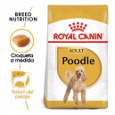 Royal Canin Poodle - Caniche