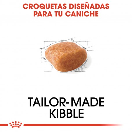 Royal Canin Poodle - Caniche