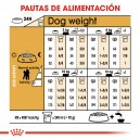 Royal Canin Poodle - Caniche
