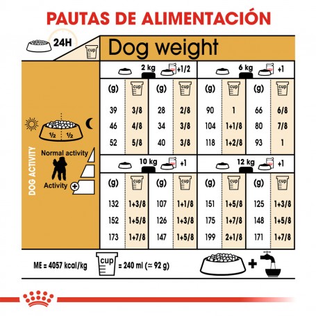 Royal Canin Poodle - Caniche