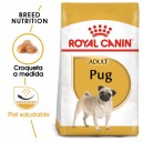 Royal Canin Pug - Carlino