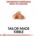 Royal Canin Pug - Carlino