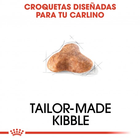 Royal Canin Pug - Carlino