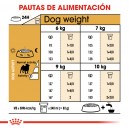 Royal Canin Pug - Carlino