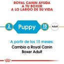 Royal Canin Puppy Boxer