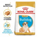Royal Canin Puppy Bulldog