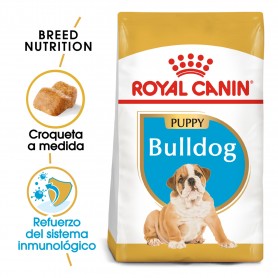 Royal Canin Puppy Bulldog