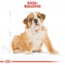 Royal Canin Puppy Bulldog