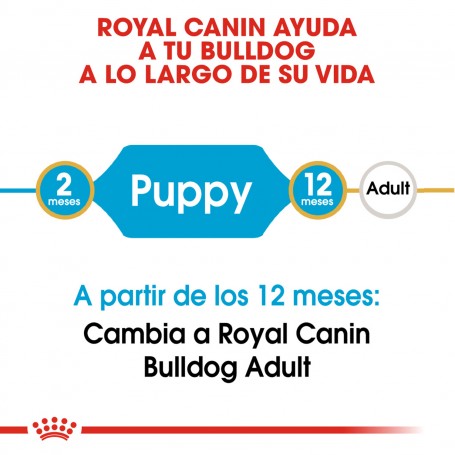 Royal Canin Puppy Bulldog