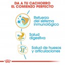 Royal Canin Puppy Bulldog