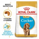 Royal Canin Puppy Cocker