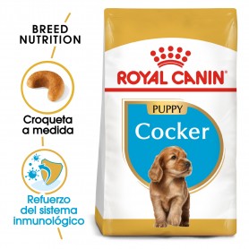 Royal Canin Puppy Cocker