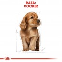 Royal Canin Puppy Cocker