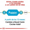 Royal Canin Puppy Cocker