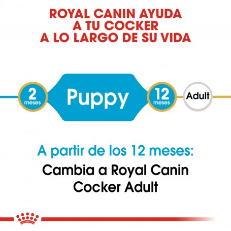 Royal Canin Puppy Cocker