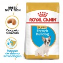 Royal Canin Puppy Bulldog Frances