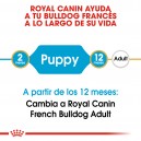 Royal Canin Puppy Bulldog Frances