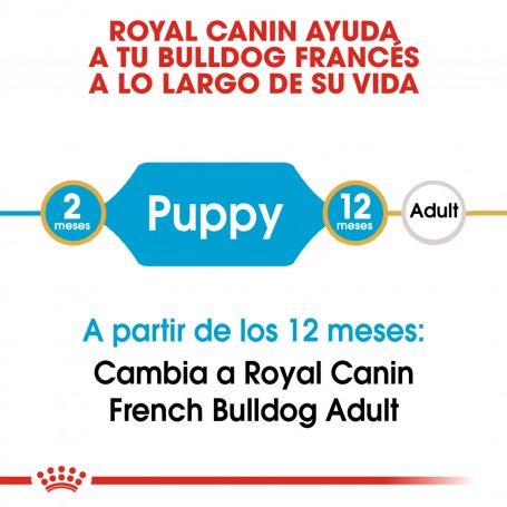 Royal Canin Puppy Bulldog Frances