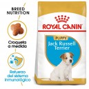 Royal Canin Jack Russell Junior
