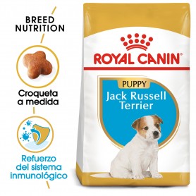 Royal Canin Jack Russell Junior