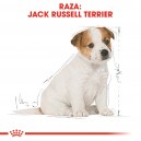 Royal Canin Jack Russell Junior