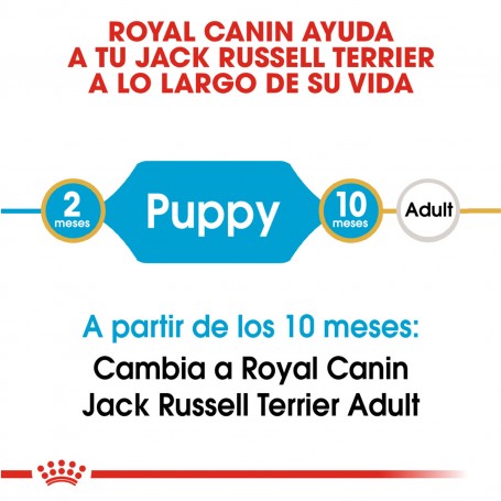 Royal Canin Jack Russell Junior