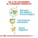 Royal Canin Jack Russell Junior