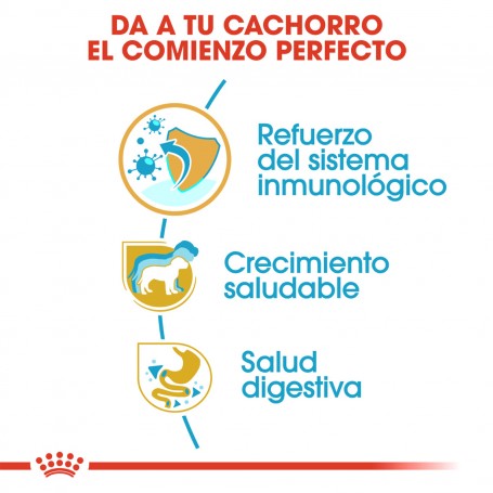 Royal Canin Jack Russell Junior