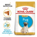 Royal Canin Puppy Pug - Carlino