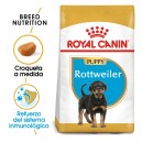 Royal Canin Rottweiler Puppy