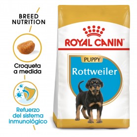 Pienso Rottweiler