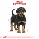 Royal Canin Rottweiler Puppy