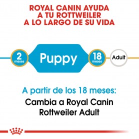 Royal Canin Rottweiler Puppy pienso para cachorro de raza 