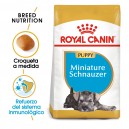 Royal Canin Miniature Schnauzer Puppy