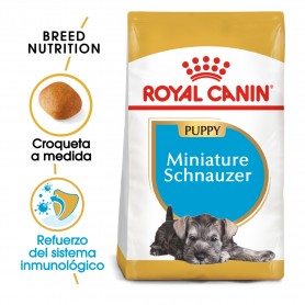 Royal Canin Miniature Schnauzer Puppy