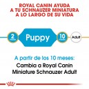 Royal Canin Miniature Schnauzer Puppy