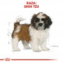Royal Canin Shih Tzu Puppy