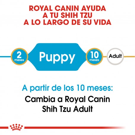 Royal Canin Shih Tzu Puppy